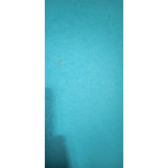 Disney stitch with duck sweatshirt size large men - Picture 6 of 6